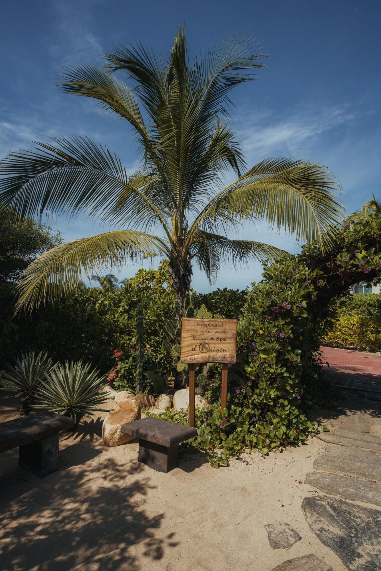 El Origen Villas & Spa-Puerto Escondido Puerto Escondido  Eksteriør bilde